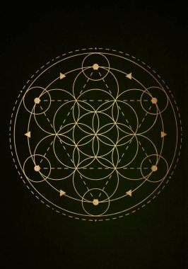 Kutsal Geometri altın sembolü, yaşam işareti tohumu. Hayat Çiçeği Simya 'nın Geometrik Mistik Lüks Mandala.