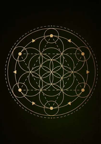 Kutsal Geometri Altın Sembolü Yaşam Işareti Tohumu Hayat Çiçeği Simya — Stok fotoğraf