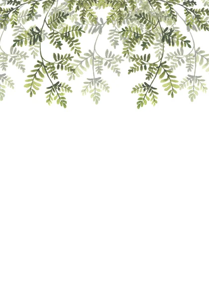 Blassgrüne Blätter Banner Mit Botanischem Design Floraler Pastellfarbener Rahmen Mit — Stockfoto