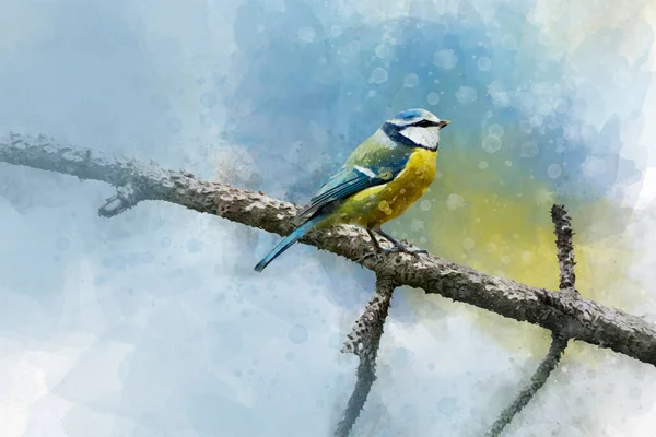 Little Blue Tit Resting Branch Watercolor Digital Painting Vintage Effect — Stock fotografie