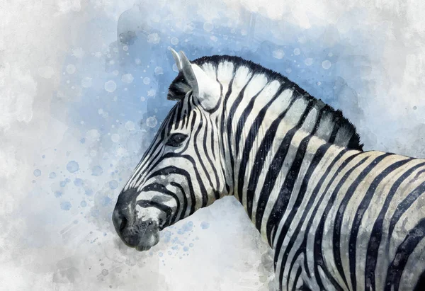 Retrato Zebra Ilustração Aquarela Pintada Mão Arte Vida Selvagem — Fotografia de Stock