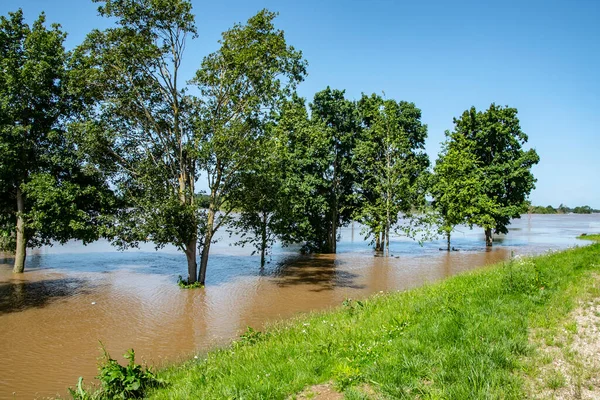 Inundada Zona Pólder Holandés Junto Dique Cubierto Hierba Inundación Limburgo — Foto de Stock