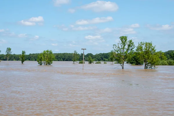 Flooded Dutch Polder Area Next Dike Overgrown Grass Flood Limburg — Stock Photo, Image