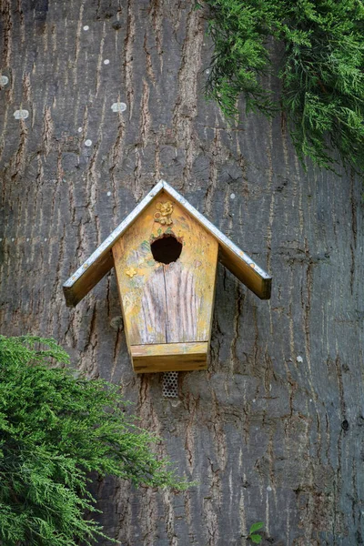 Jaula Para Pájaros Madera Casa Para Pájaros Bosque —  Fotos de Stock