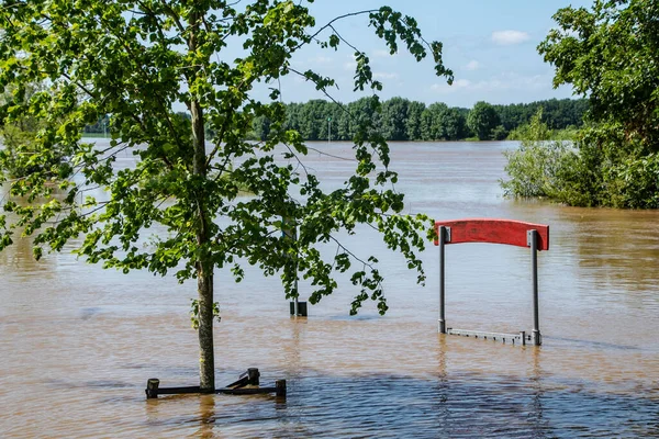 Inundaron Los Campos Agrícolas Los Países Bajos Con Plantas Crecimiento — Foto de Stock