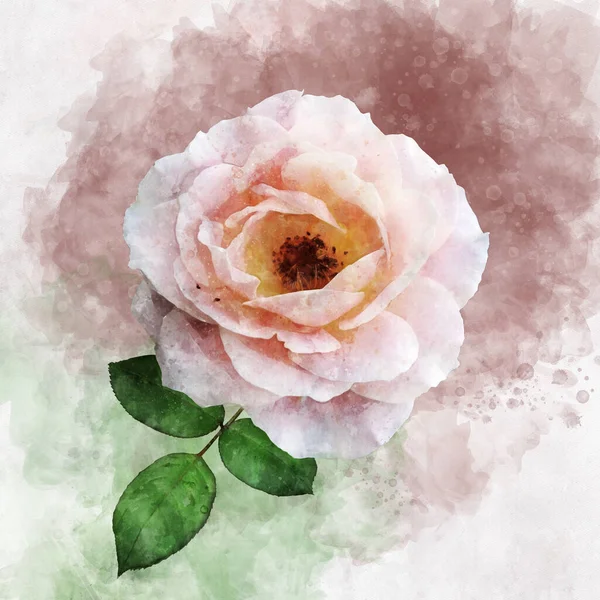 Dessin Aquarelle Une Fleur Rose Vibrante Art Botanique Élément Décoratif — Photo