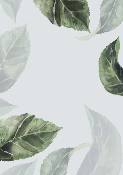 Blass Blätter Botanisches Design Banner Floraler Pastellfarbener Rahmen Mit Aquarell — Stockfoto