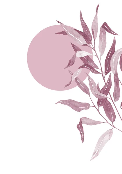 Бледно Розовые Листья Бука Баннер Ботанического Дизайна Цветочная Пастельная Рамка — стоковое фото