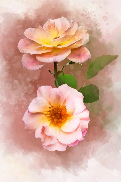Dibujo Acuarela Una Vibrante Flor Rosa Arte Botánico Elemento Decorativo — Foto de Stock