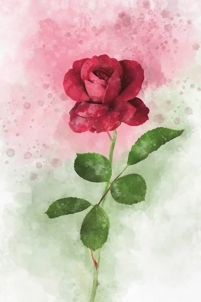 Desenho Aquarela Uma Flor Rosa Vermelha Vibrante Arte Botânica Elemento — Fotografia de Stock