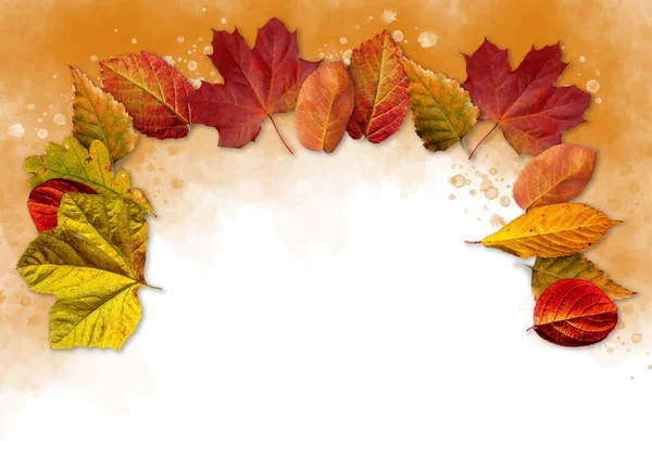 秋天的背景落叶在水彩画的背景上 文字的位置 很棒的派对邀请 季节性销售 秋季节日 感恩节快乐 — 图库照片
