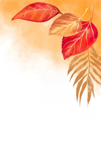 秋叶装饰背景 九月植物头饰或十月边饰 — 图库照片