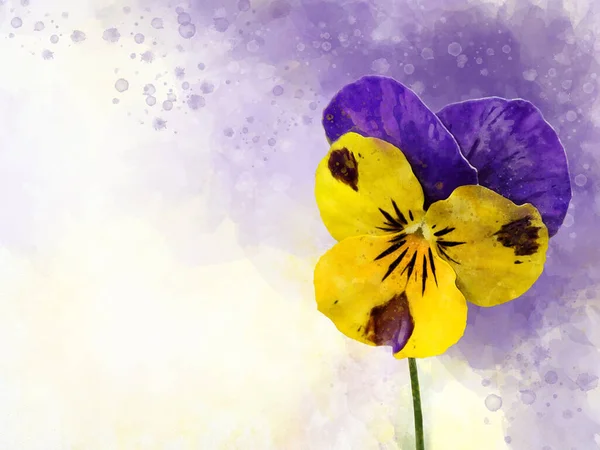 Gros Plan Fleur Violette Jaune Aquarelle Illustration Botanique Pour Carte — Photo