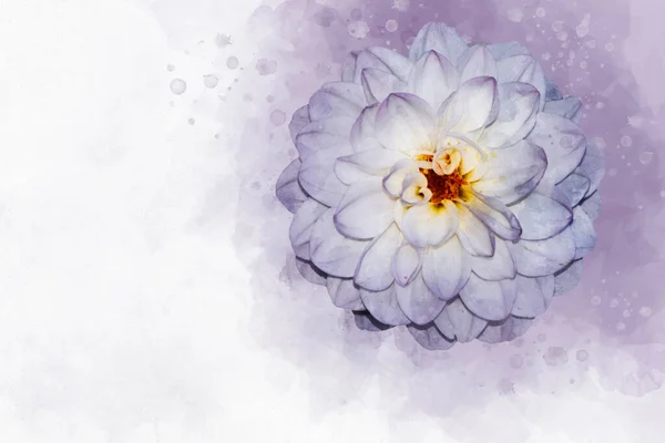 Dahlie Aquarell Blumenillustration Für Hintergrund Einladungskarte Geburtstagskarte — Stockfoto