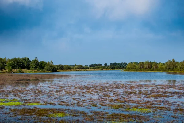 Área Polder Holandês Inundado Lado Dique Coberto Com Grama — Fotografia de Stock