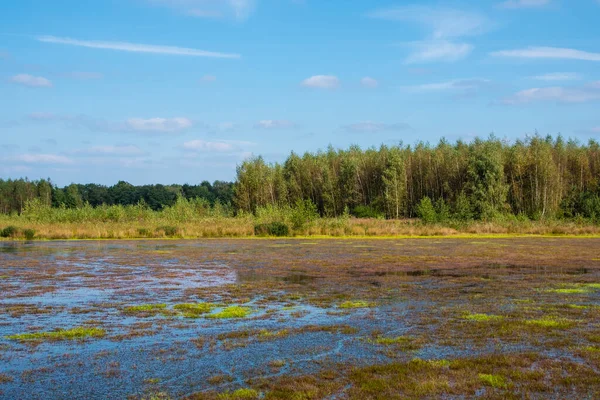 Überflutetes Holländisches Poldergebiet Neben Einem Mit Gras Bewachsenen Deich — Stockfoto