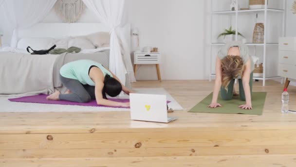 Instructrice pratiquant le yoga avec une jeune femme, regardant un ordinateur portable — Video