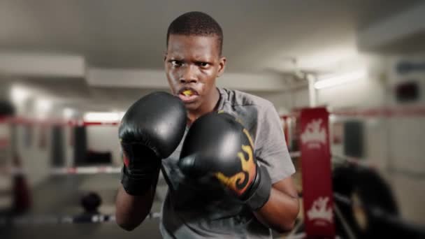 Kickboxer fortement motivé portant bouclier gomme bouche poinçonnage à la caméra avec des poings gantés — Video
