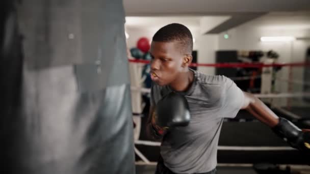 Jovem concentrado africano boxeador masculino batendo saco de perfuração no clube de boxe — Vídeo de Stock