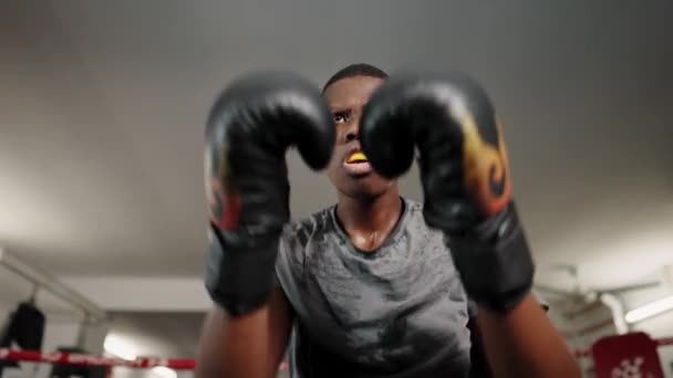 Mladý africký muž boxer punching s pěstmi na kameru při tréninku na ringu v posilovně — Stock video