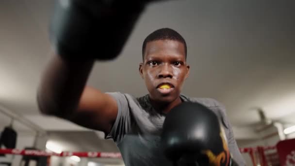 Retrato deportivo motivacional del boxeador africano lanzando golpes durante el entrenamiento en el club de boxeo — Vídeo de stock