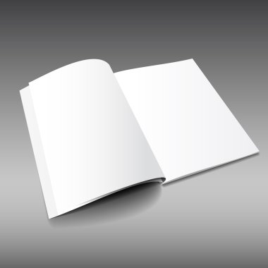 vektör dergisi açıldı mockup4