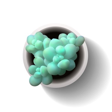 vektör sulu bahçedeki