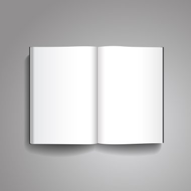 vektör mockup kitap