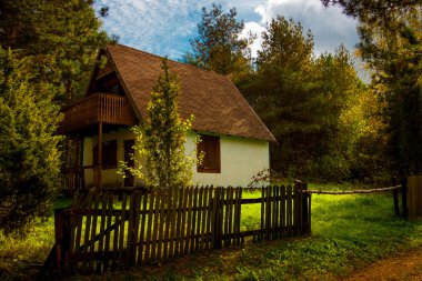 Ormandaki küçük ev