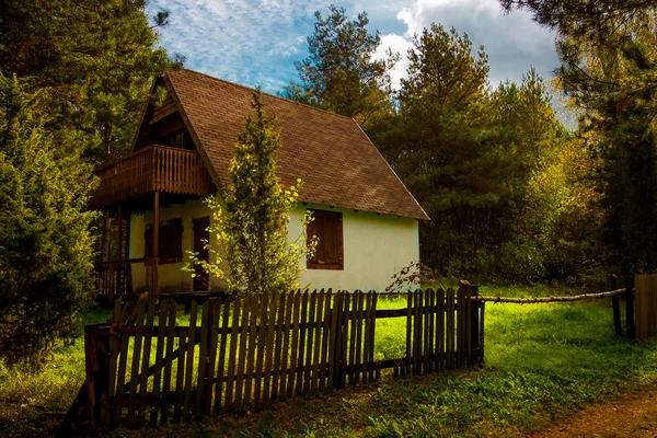 Klein huisje in het bos — Stockfoto