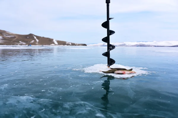 Winter fishing in the middle of frozen lake ice — Stock Photo, Image