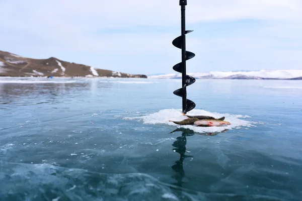 Χειμερινό ψάρεμα στη μέση παγωμένη λίμνη πάγο Φωτογραφία Αρχείου