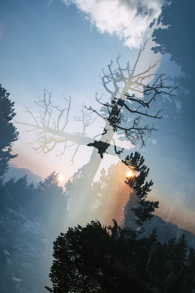 Západ slunce v horách, dvojí vystavena Stock Fotografie