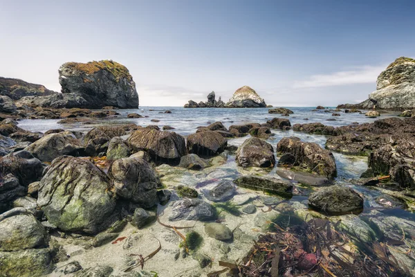 Παραλία Big sur — Φωτογραφία Αρχείου