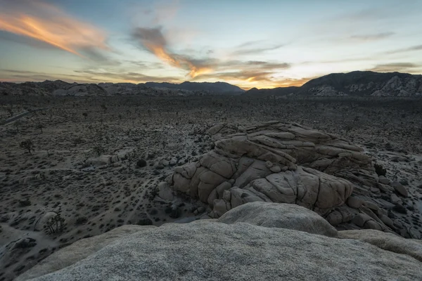 Joshua tree national parklandskap — Stockfoto