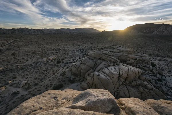 Parc national Joshua Tree Paysage — Photo