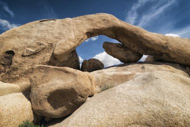 Joshua Tree Ulusal Parkı, Kaliforniya