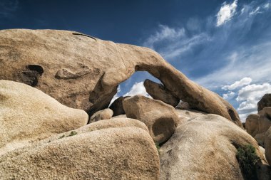 Joshua Tree Ulusal Parkı, Kaliforniya
