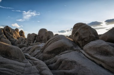 Joshua Tree Ulusal Parkı, Kaliforniya