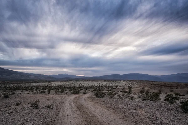 Paisaje en el desierto de Anza-Borrego — Foto de Stock