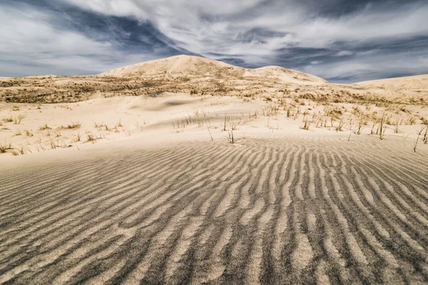 Desierto de Mojave, California — Foto de Stock