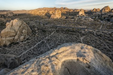 Joshua tree national park peyzaj