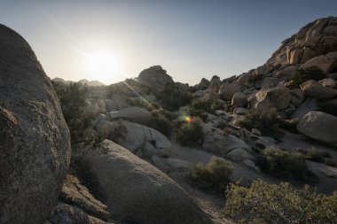 Joshua tree national park peyzaj