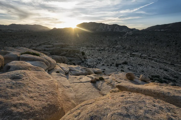 Joshua Tree National Park Paisagem — Fotografia de Stock