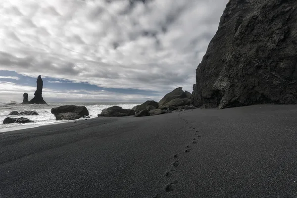 Mantello marino nel sud dell'Islanda — Foto Stock