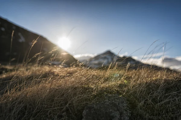 Paisaje herboso en Islandia —  Fotos de Stock