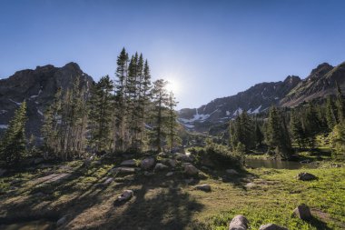 Vahşi, Colorado kartal yuva