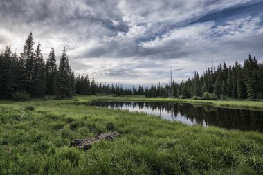 Rocky Dağları Milli Parkı, Colorado