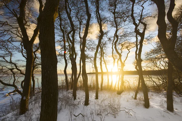 Paysage dans le Rhode Island — Photo