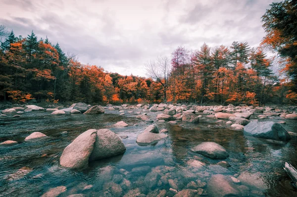 Fall Foliage in New England — Stock Photo, Image